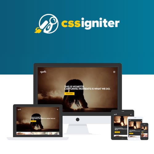 CSS Igniter Vignette  WordPress Theme