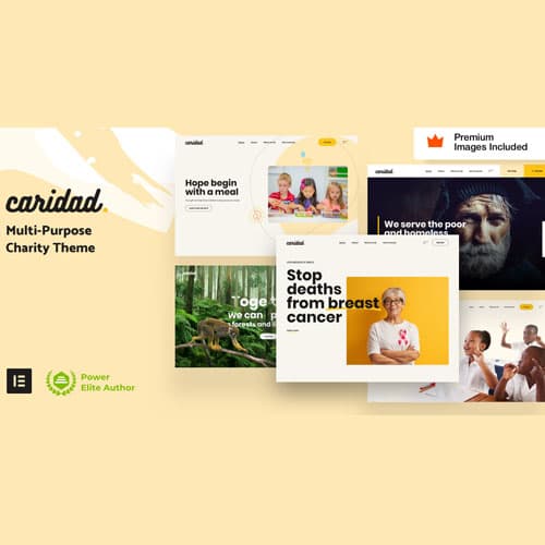 Caridad - Charity WordPress Theme