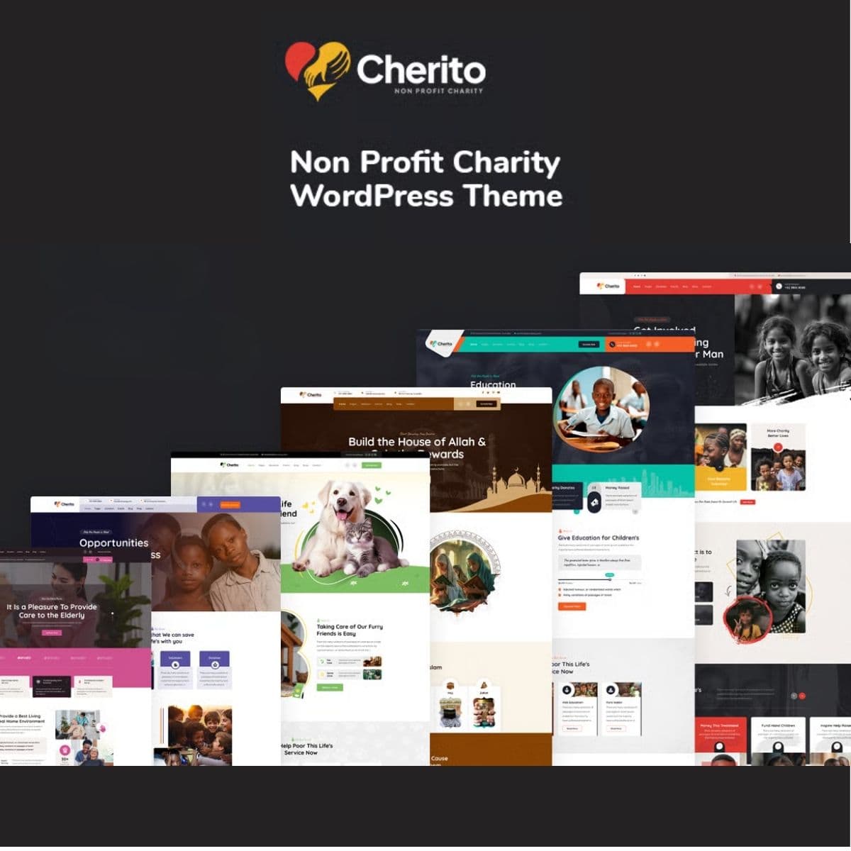 Cherito - Non Profit Charity WordPress Theme
