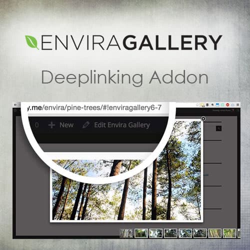 Envira Gallery - Deeplinking Addon