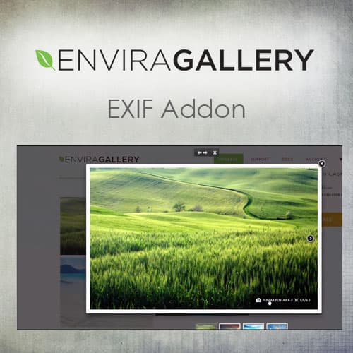 Envira Gallery - EXIF Addon