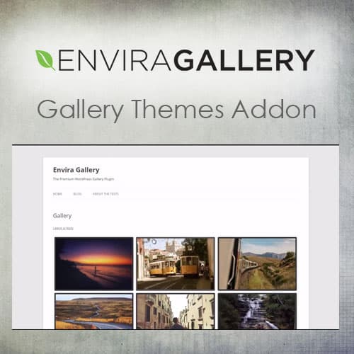 Envira Gallery - Gallery Themes Addon
