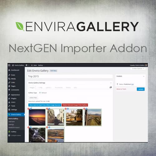 Envira Gallery - NextGEN Importer Addon