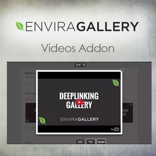 Envira Gallery - Videos Addon