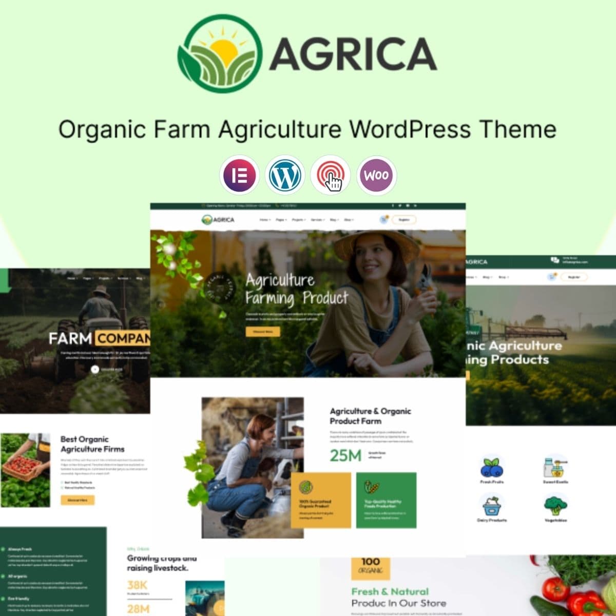 Screenshot of Agrica interface