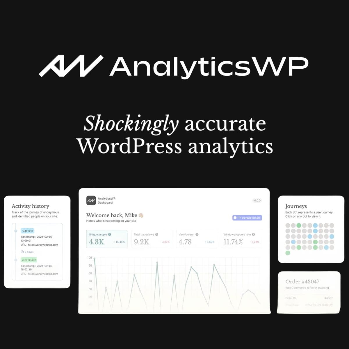 Screenshot of AnalyticsWP interface