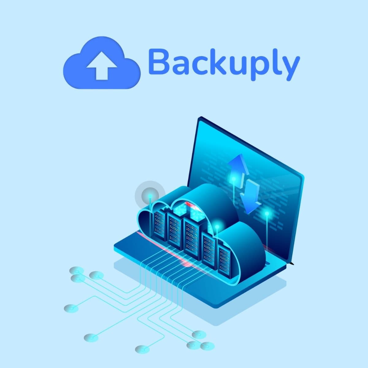 Screenshot of Backuply Pro interface