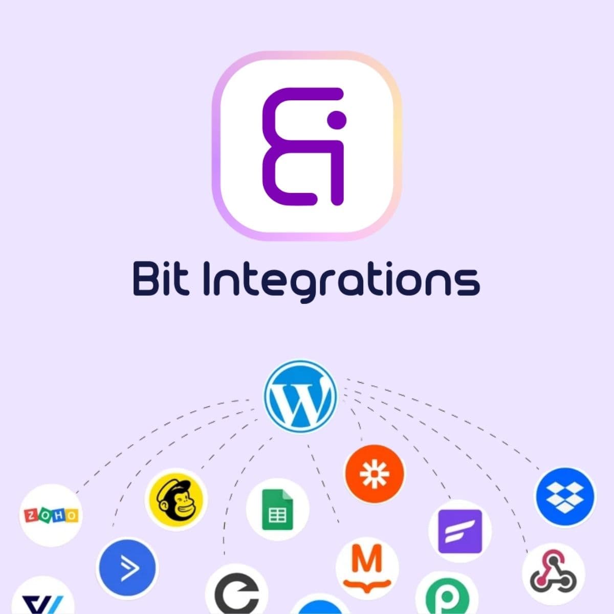 Screenshot of Bit Integrations interface