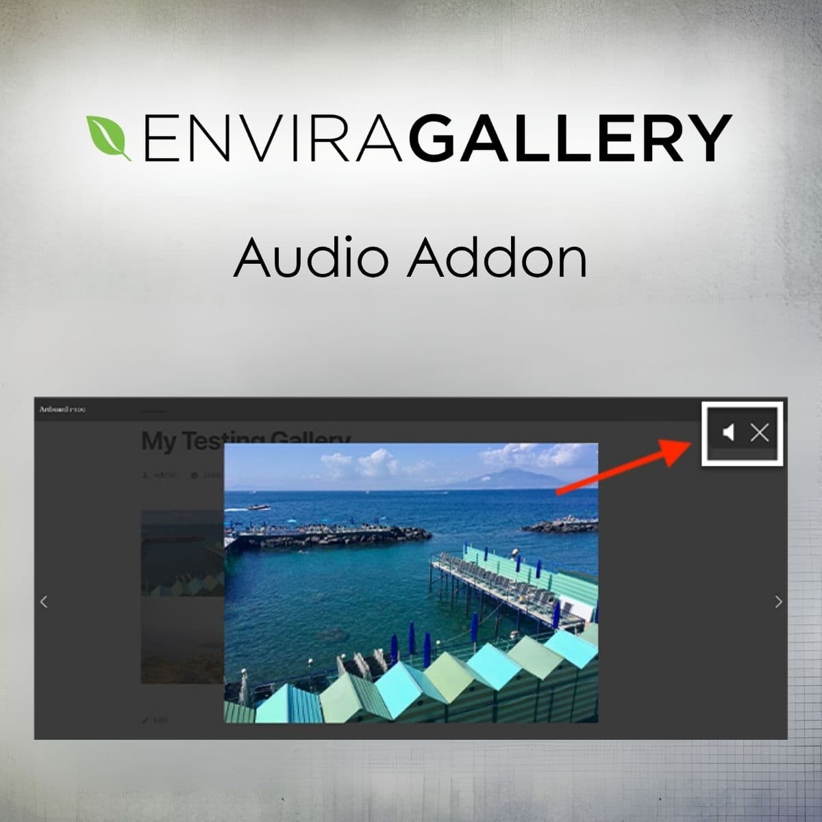 Screenshot of Envira Gallery - Audio Addon interface