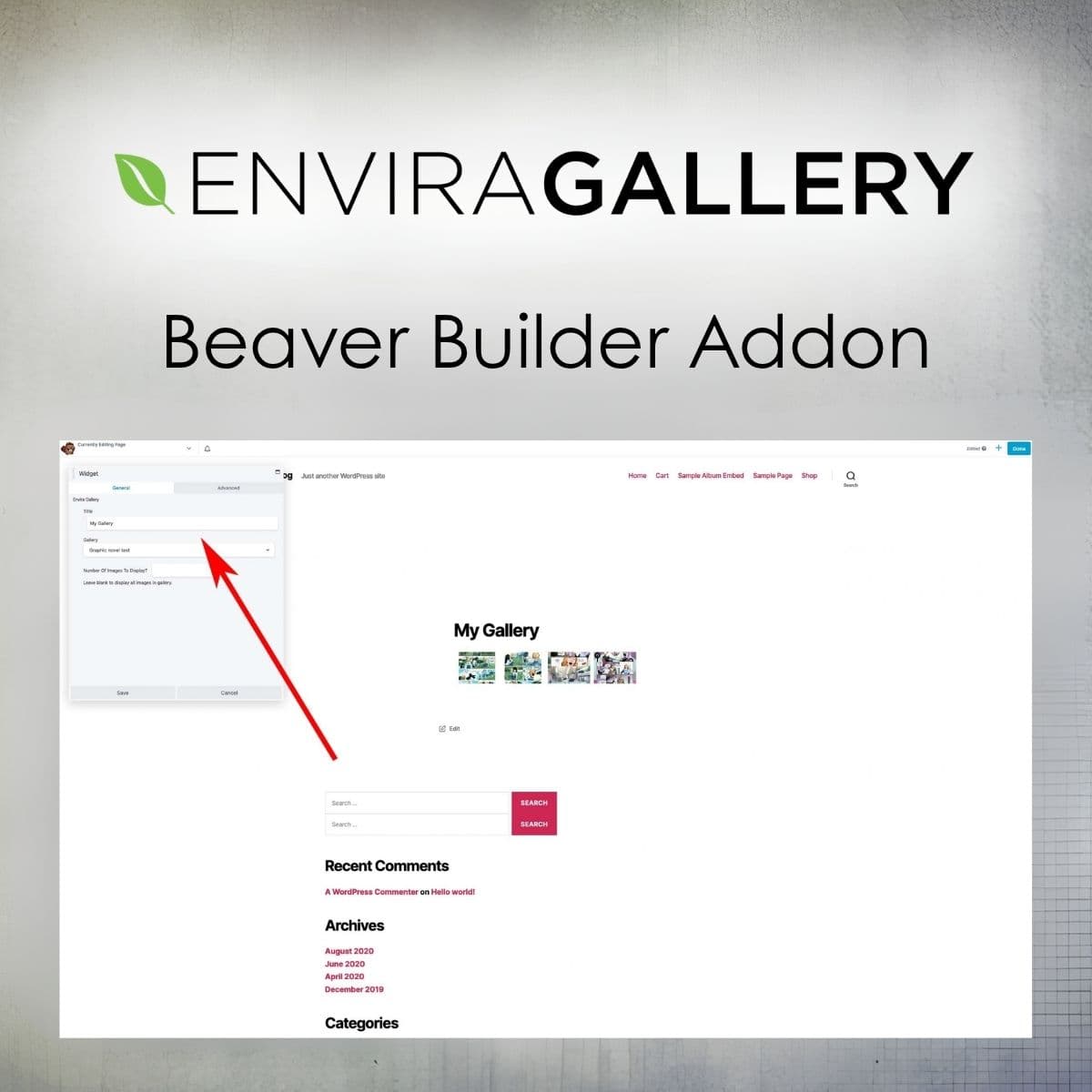 Screenshot of Envira Gallery - Beaver Builder Addon interface