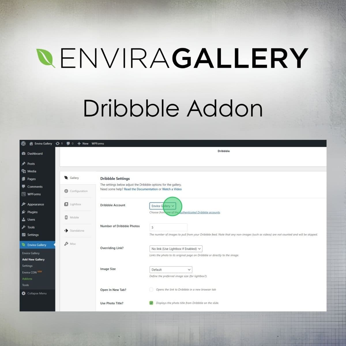 Screenshot of Envira Gallery - Dribbble Addon interface