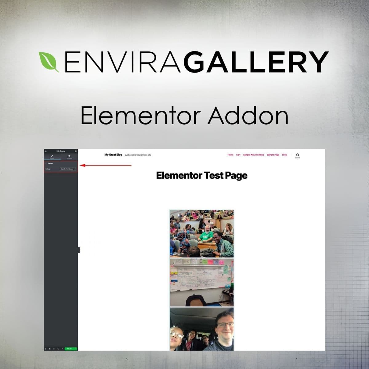 Screenshot of Envira Gallery - Elementor Addon interface