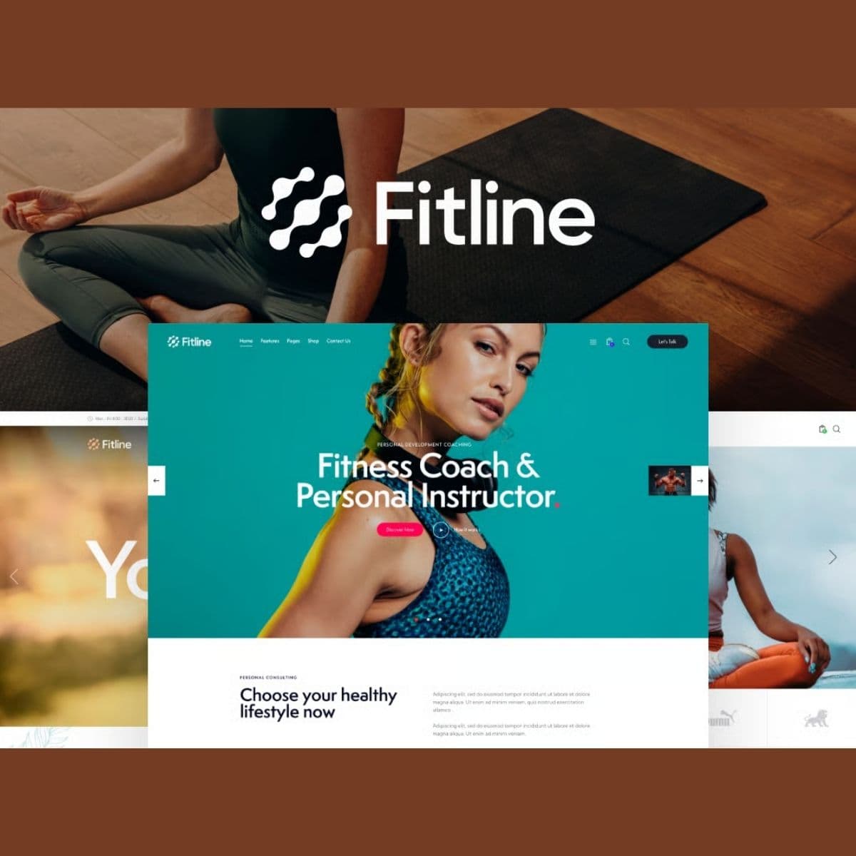 Screenshot of FitLine interface