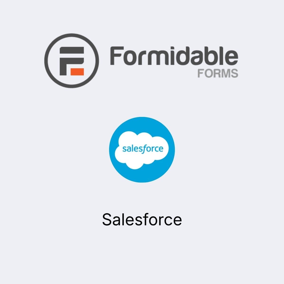 Screenshot of Formidable Forms - Salesforce interface