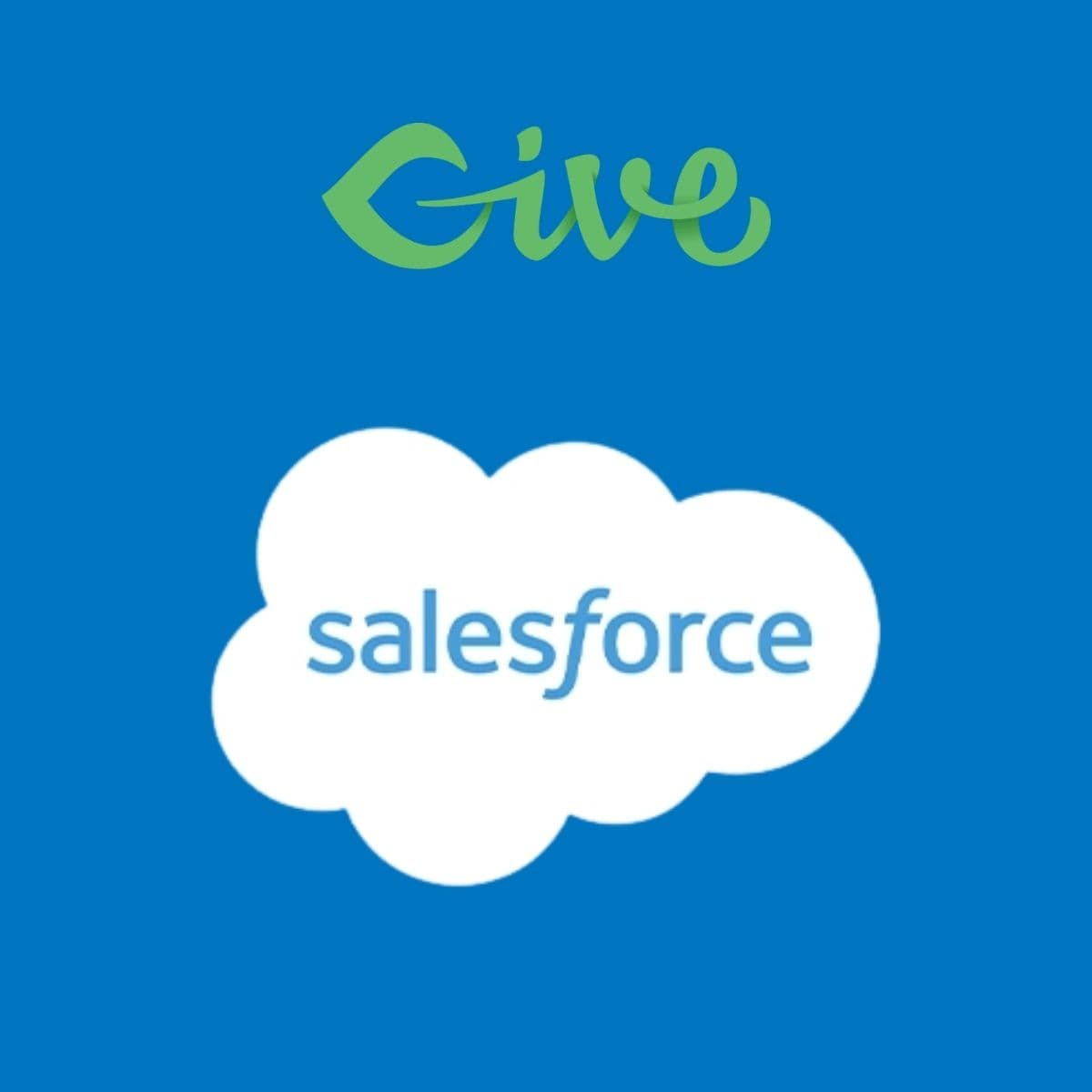 Screenshot of Give - Salesforce interface
