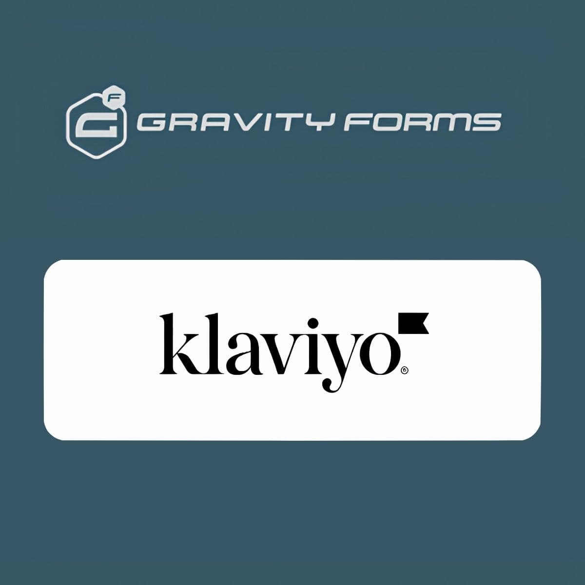 Screenshot of Gravity Forms Klaviyo Add-On interface
