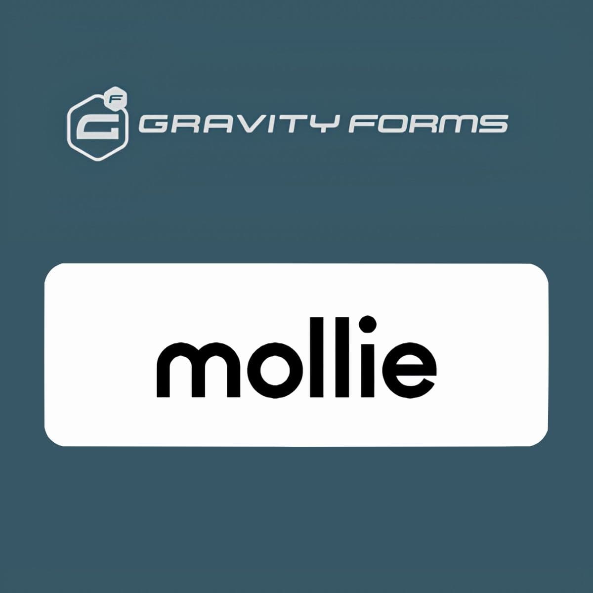 Screenshot of Gravity Forms Mollie Add-On interface