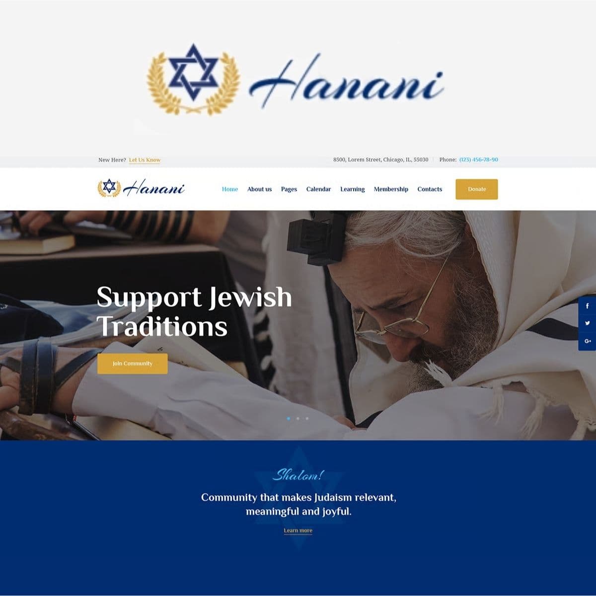 Screenshot of Hanani interface