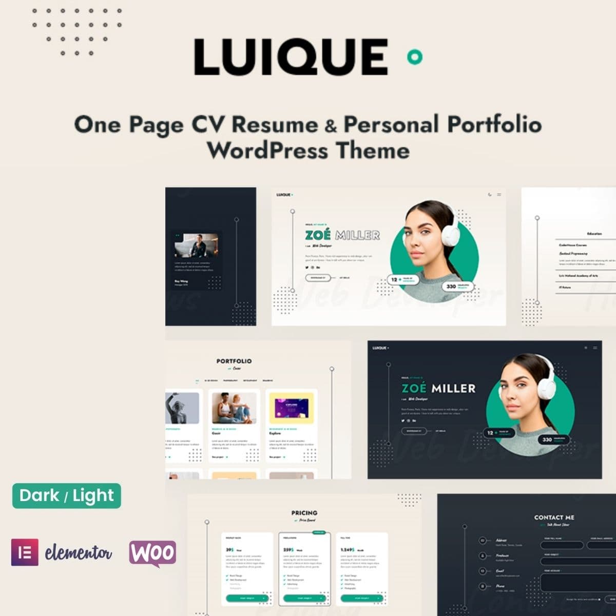 Screenshot of Luique interface