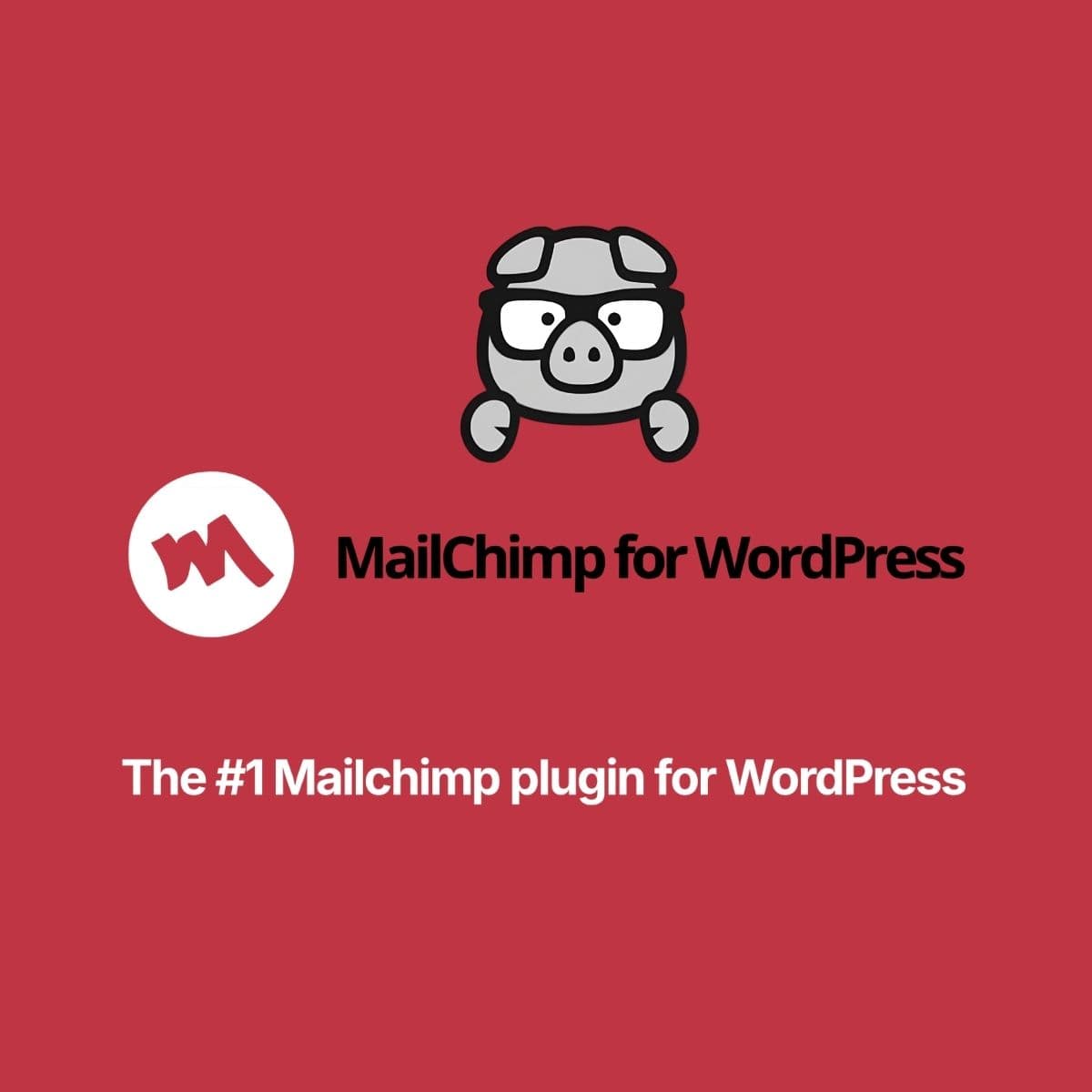 Screenshot of MC4WP: Mailchimp for WordPress Premium interface