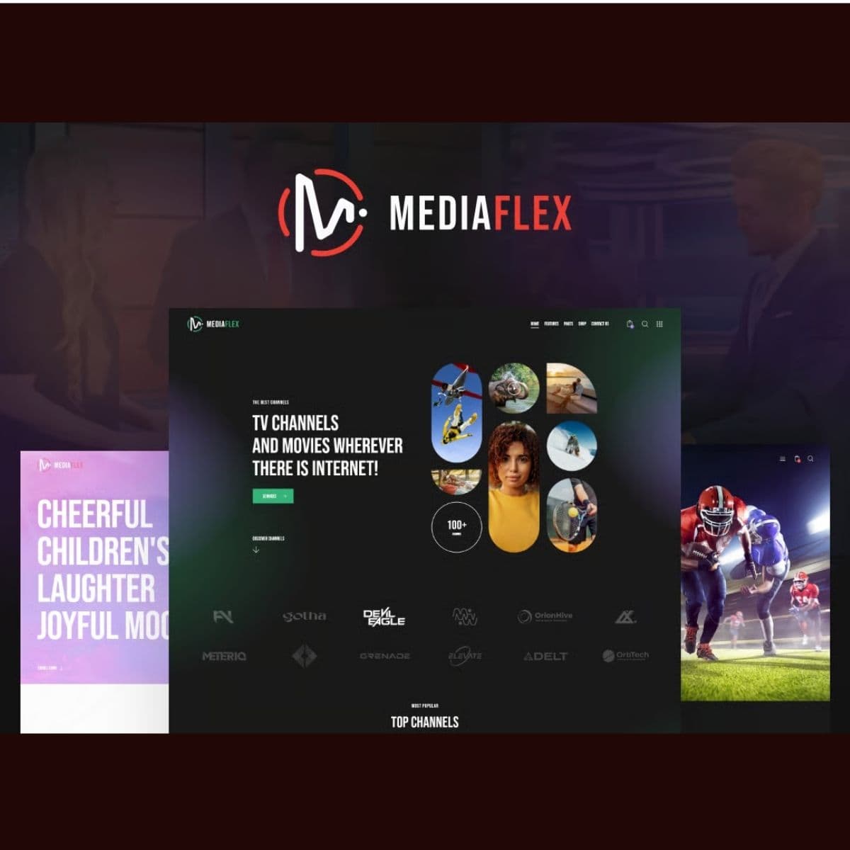 Screenshot of MediaFlex interface