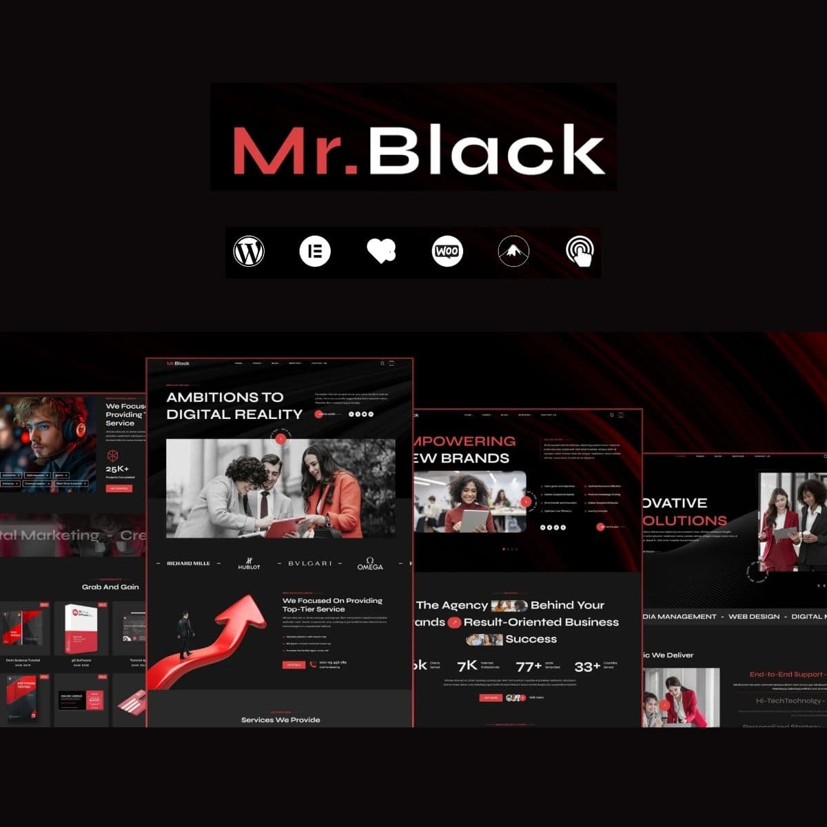 Screenshot of Mr.Black interface