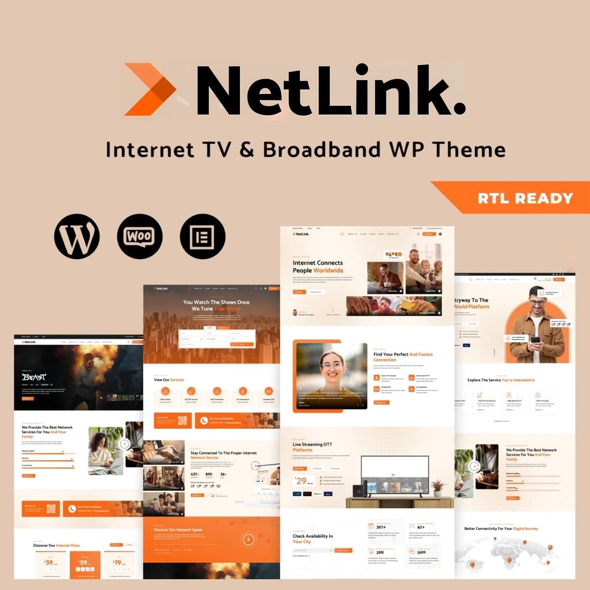 Screenshot of Netlink interface
