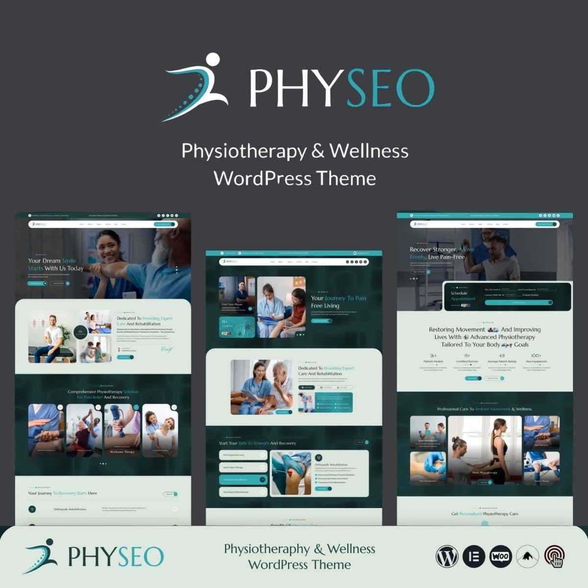 Screenshot of Physeo interface