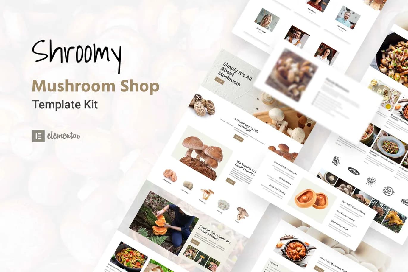 Screenshot of Shroomy interface