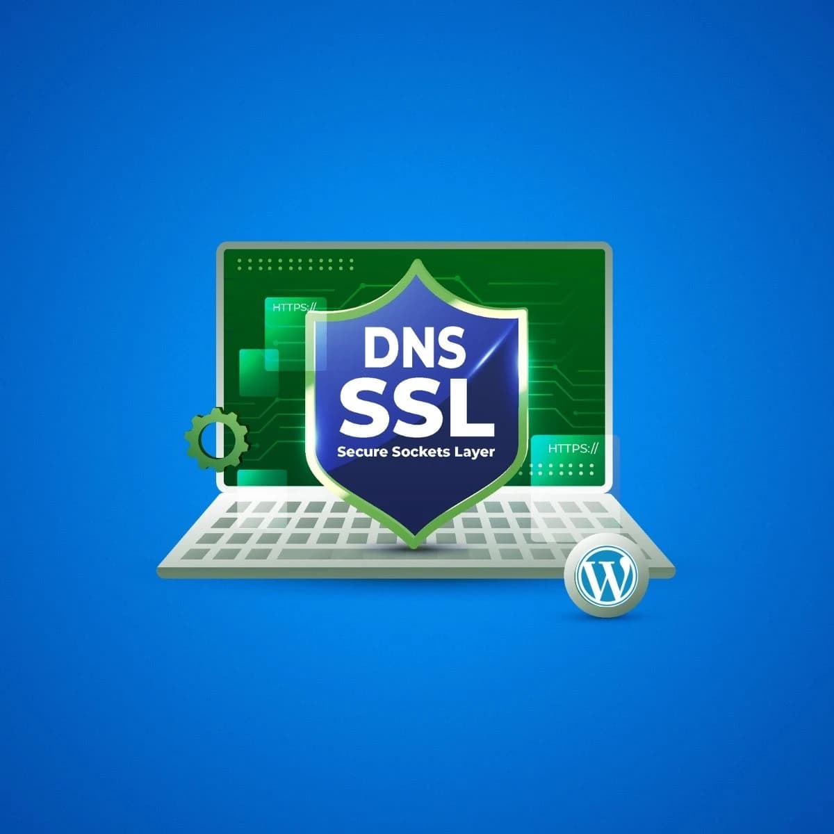 DNS & SSL Setup Package