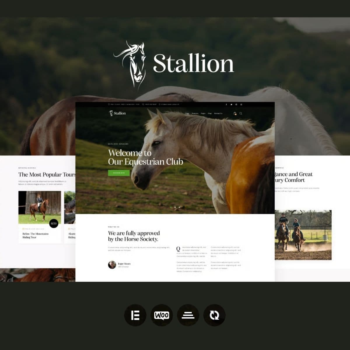 Screenshot of Stallion interface