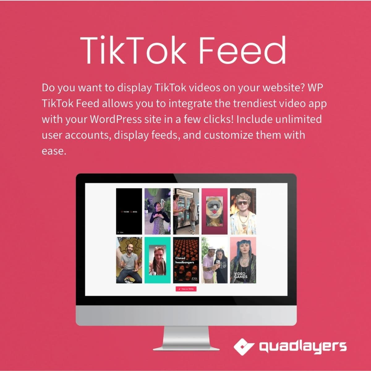 Screenshot of TikTok Feed Pro interface