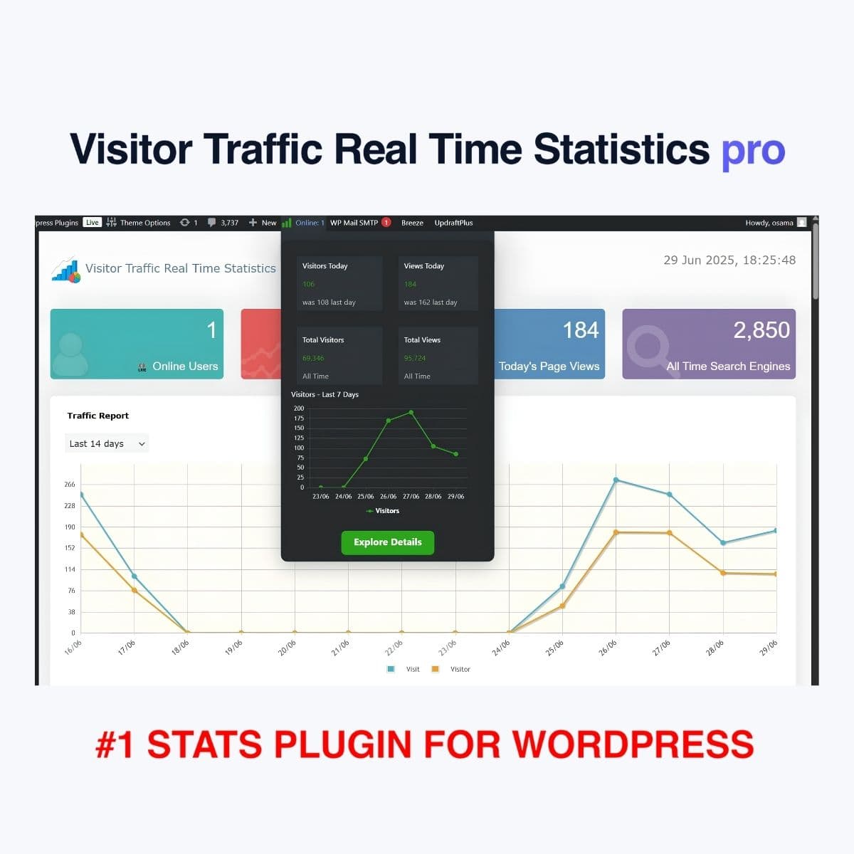 Screenshot of Visitor Traffic Real Time Statistics Pro interface