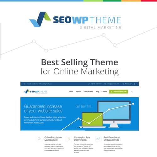 SEO WP: Digital Marketing Agency & Social Media Company Theme SEO WP: Digital Marketing Agency & Social Media Company Theme