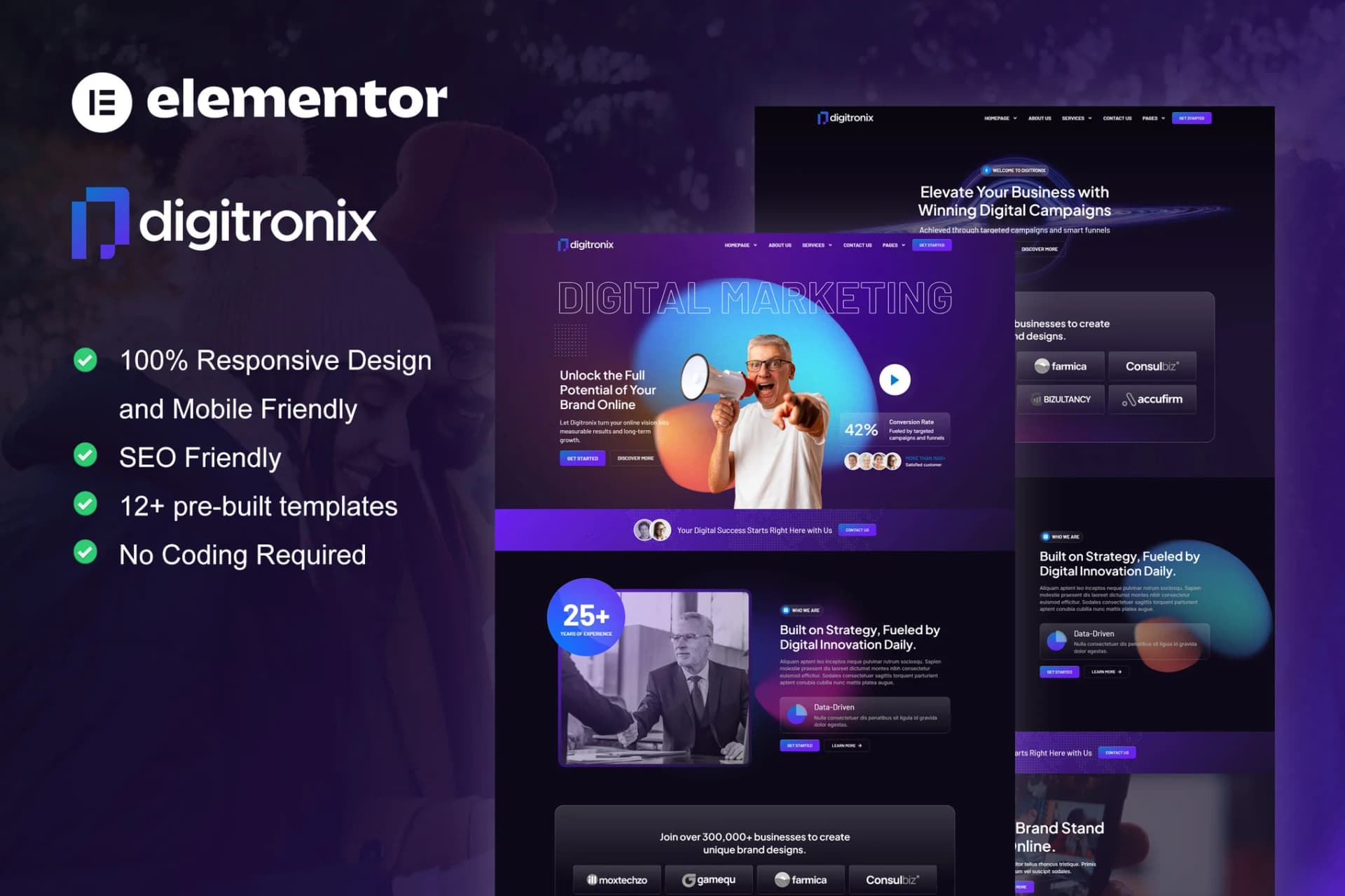 Digitronix - WordPress Plugin/Theme Screenshot of Digitronix interface