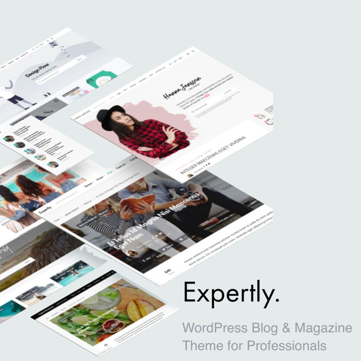 Expertly - WordPress Plugin/Theme Screenshot of Expertly interface