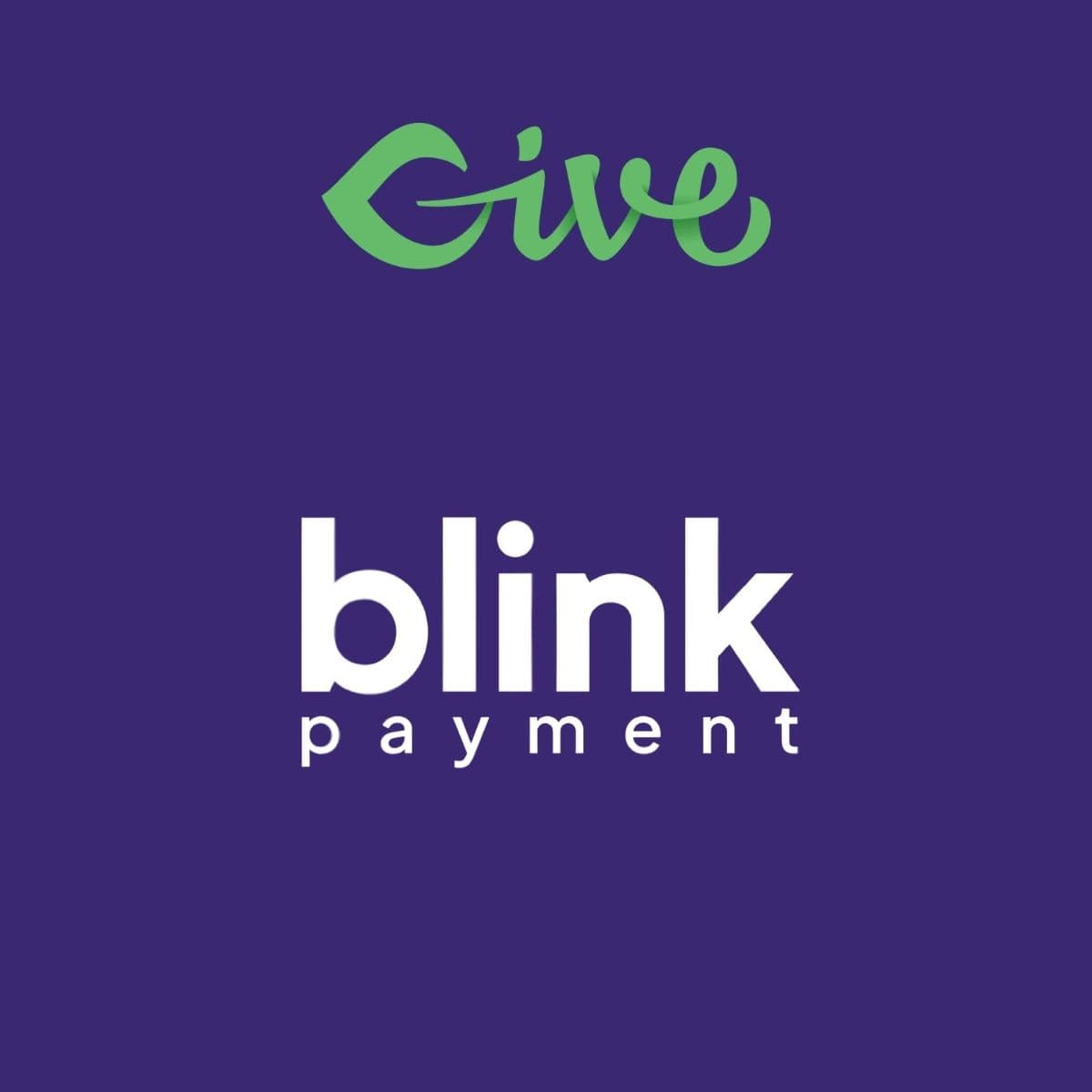Give - Blink Payment - WordPress Plugin Screenshot of Give - Blink Payment interface