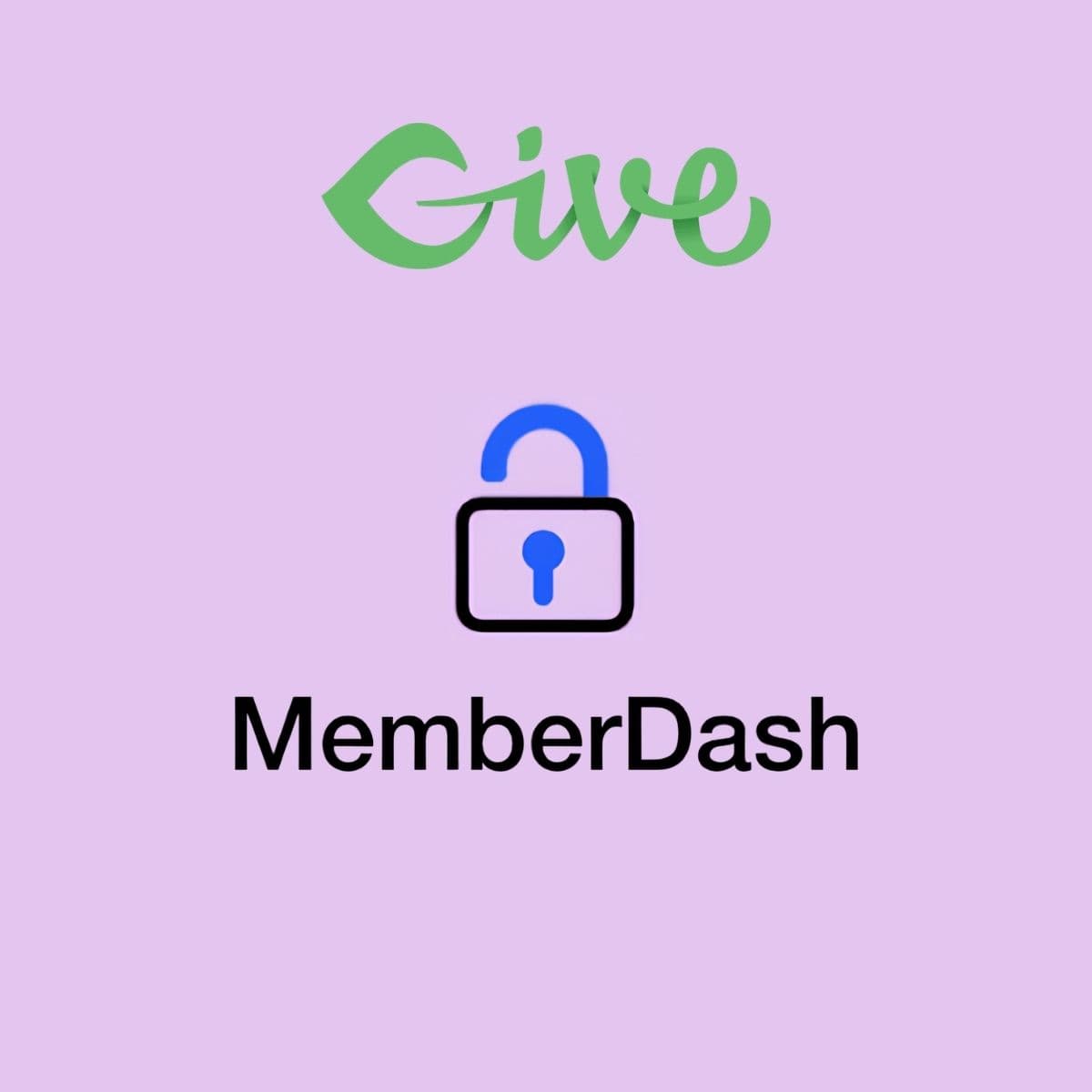 Give - Memberdash - WordPress Plugin/Theme Screenshot of Give - Memberdash interface
