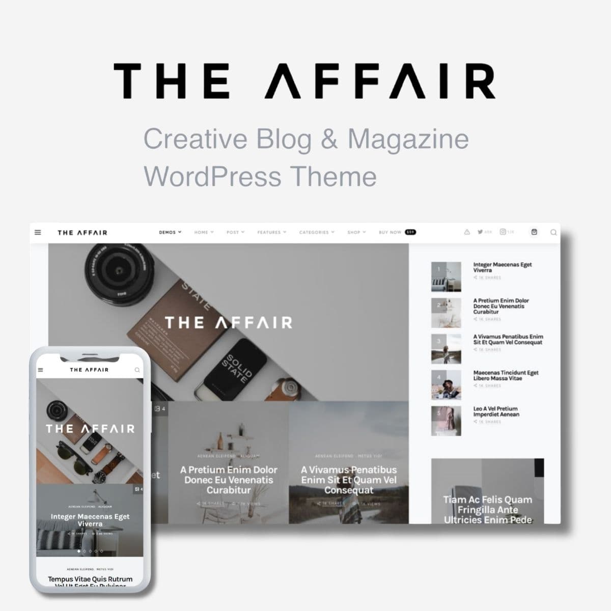 The Affair - WordPress Plugin/Theme Screenshot of The Affair interface